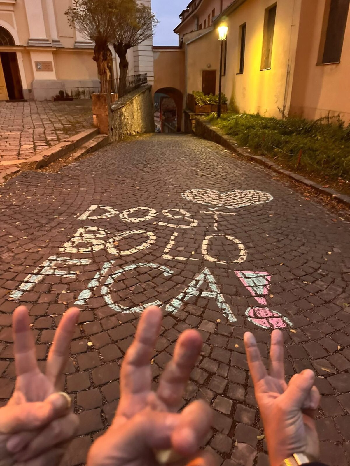 Novembrová kriedová vlna