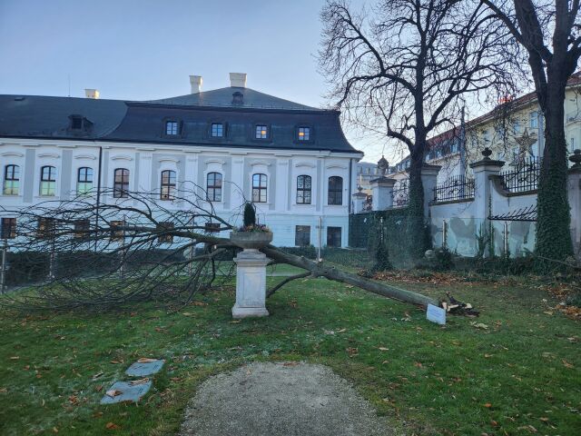 strom Klaus 
