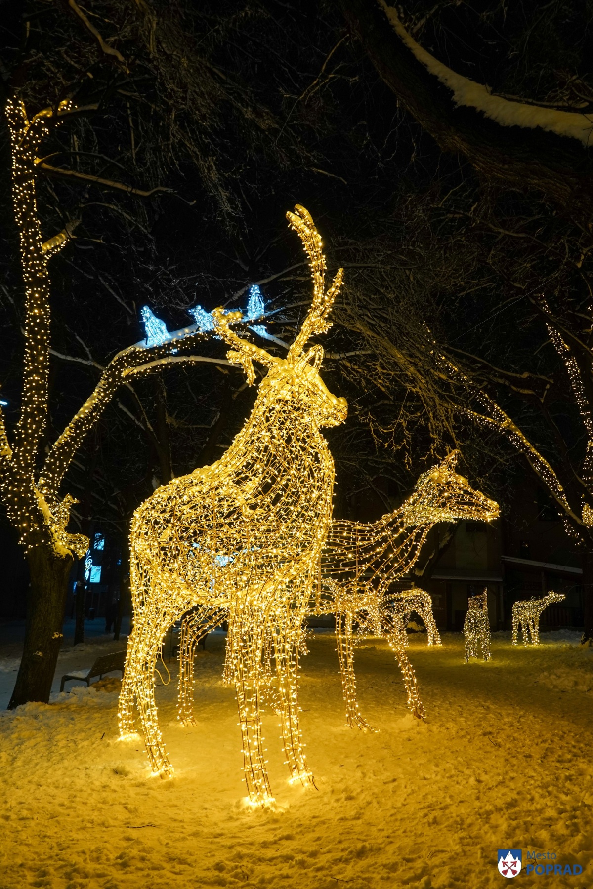 vianočná výzdoba, Poprad