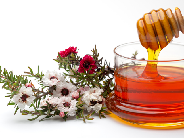 manuka, med,