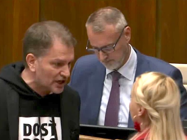 Igor Matovič, parlament