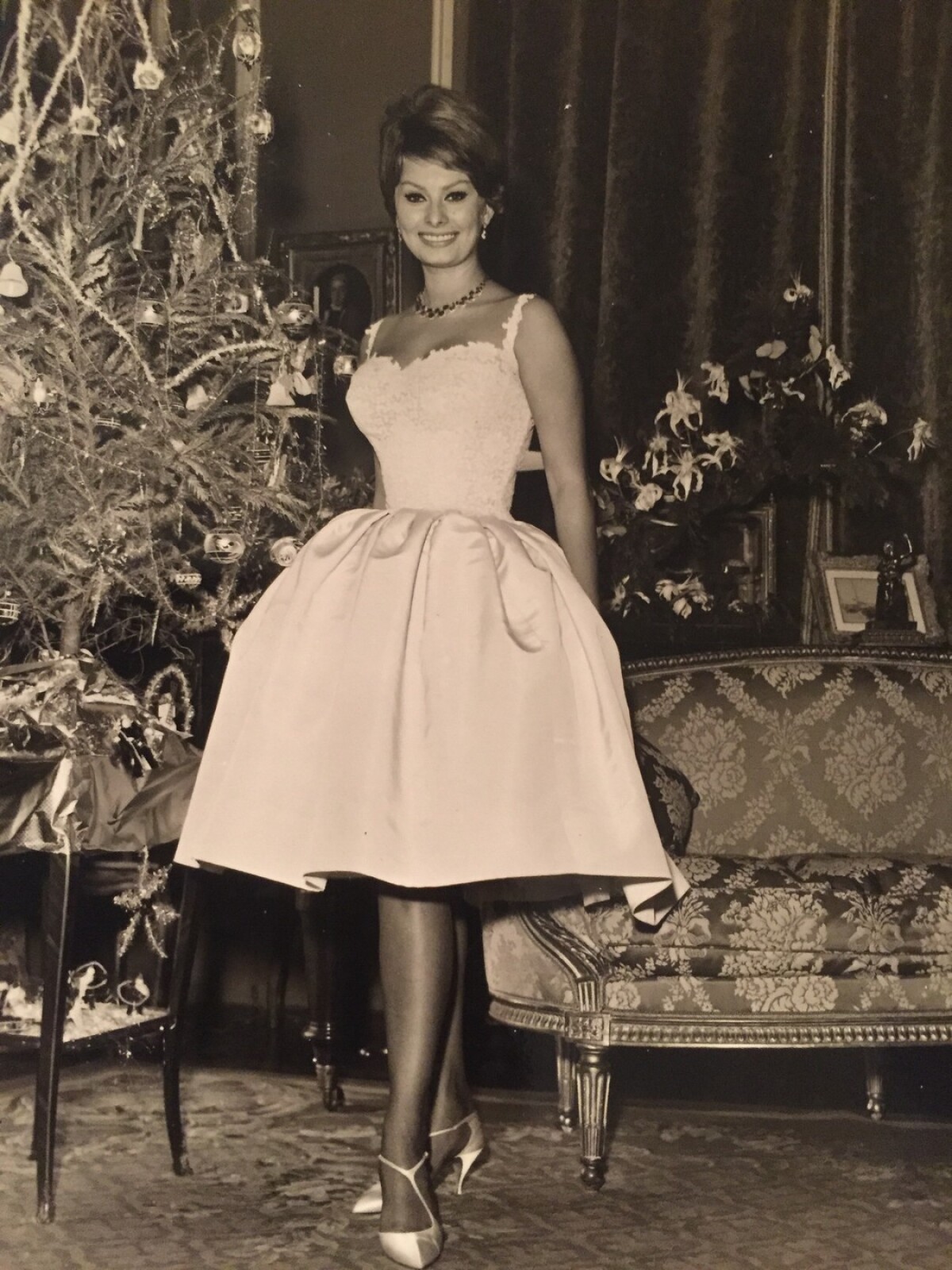 Sophia Loren