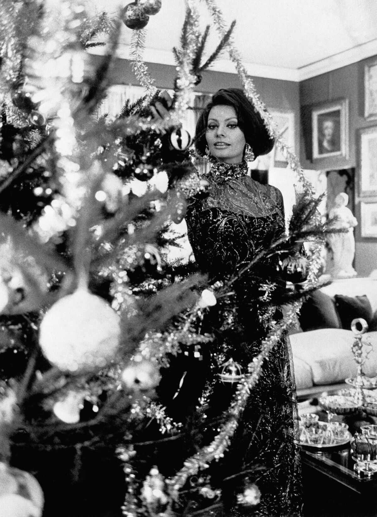 Sophia Loren