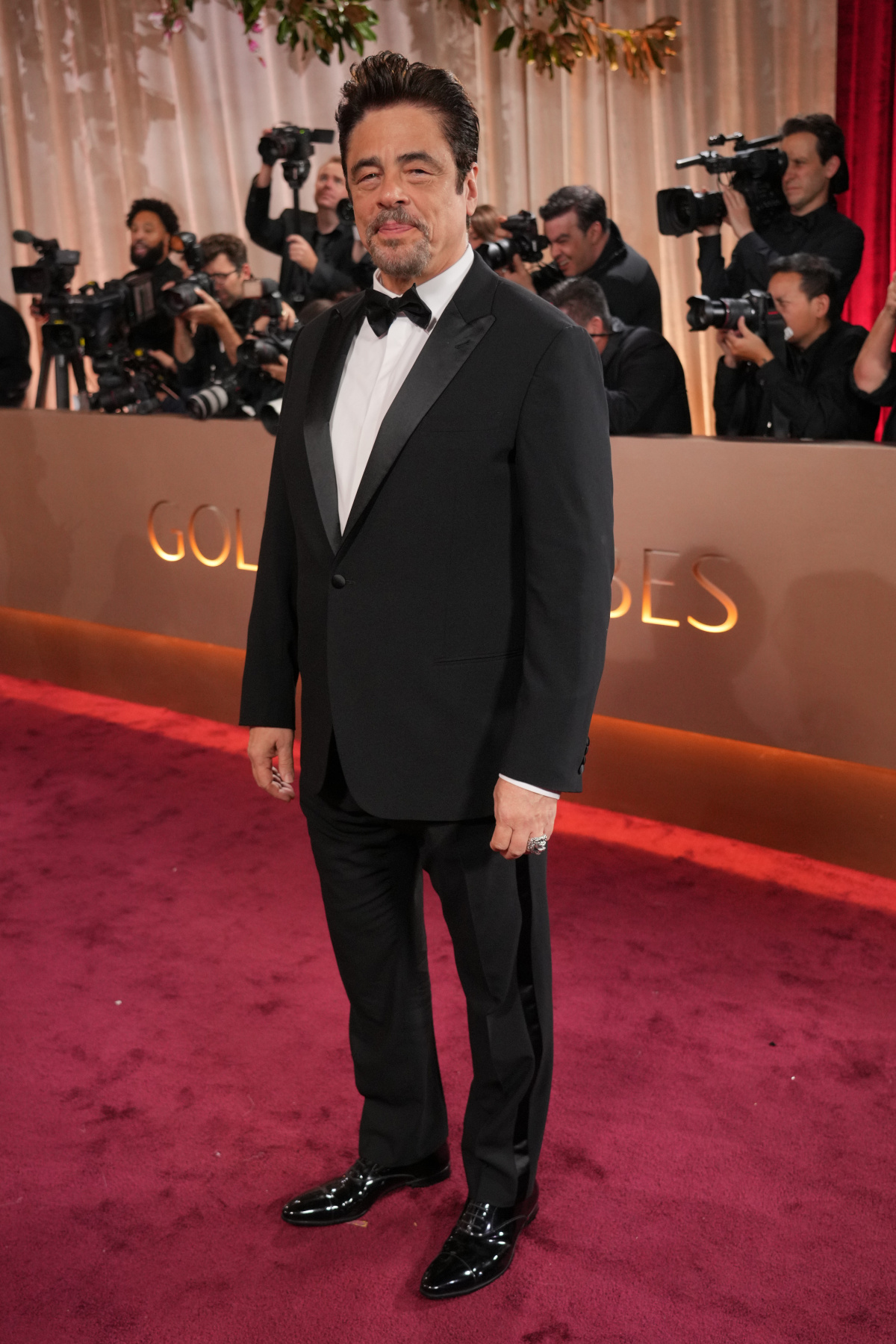 Nominovaný herec Benicio del Toro.