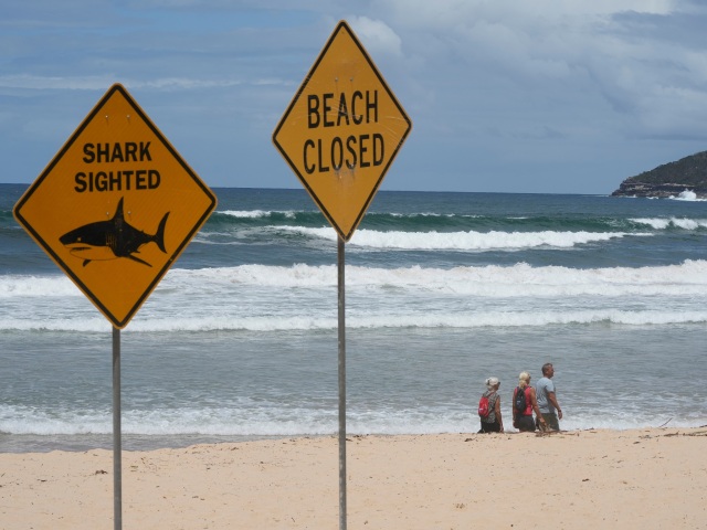 Australia Shark Attacks