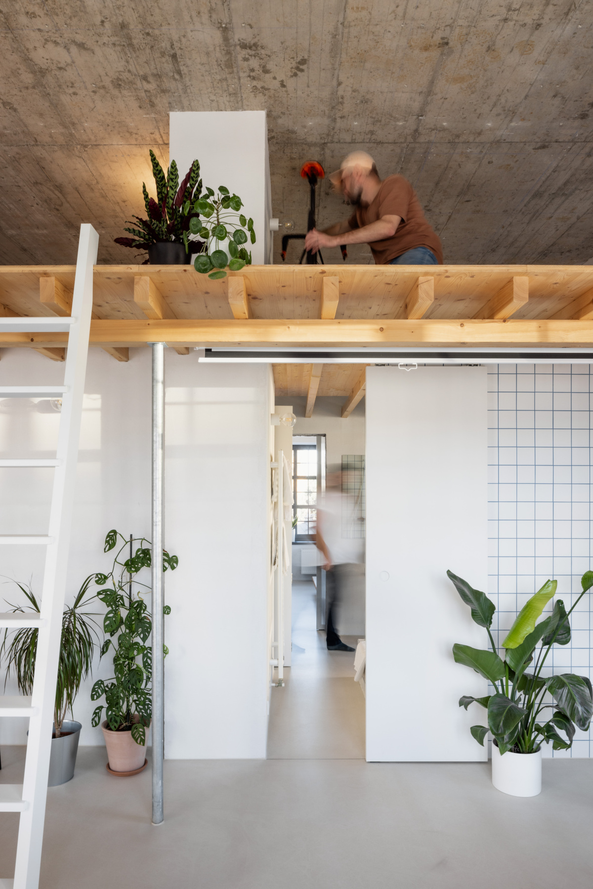 loft, interiér, byt, architekt