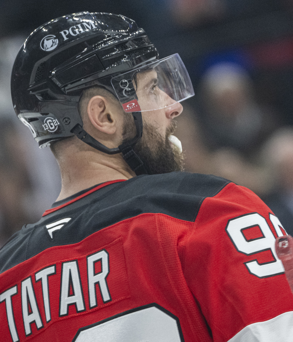 Tatar2