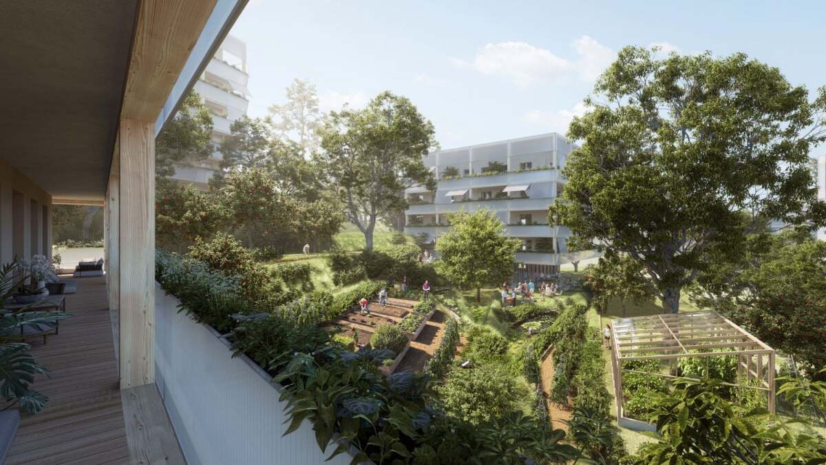 Medze zdroj Penta Real Estate 6