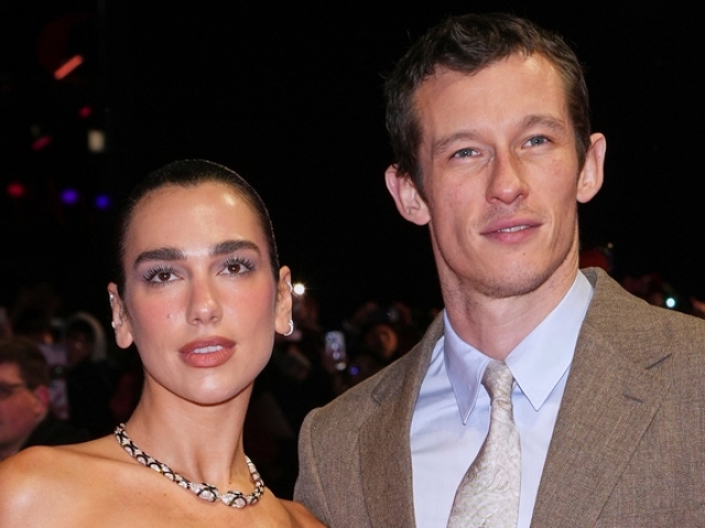 Dua Lipa, Callum Turner