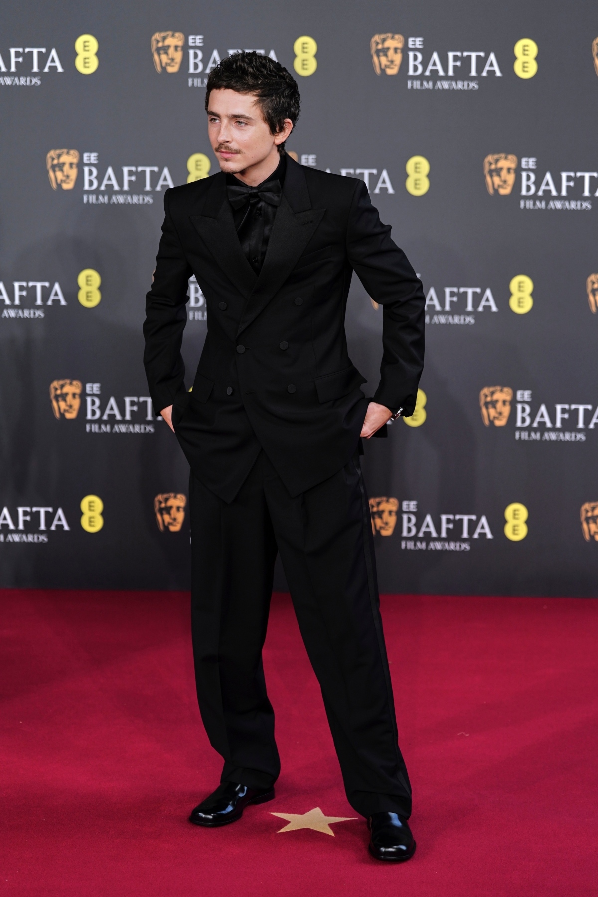 Herec Timothee Chalamet.