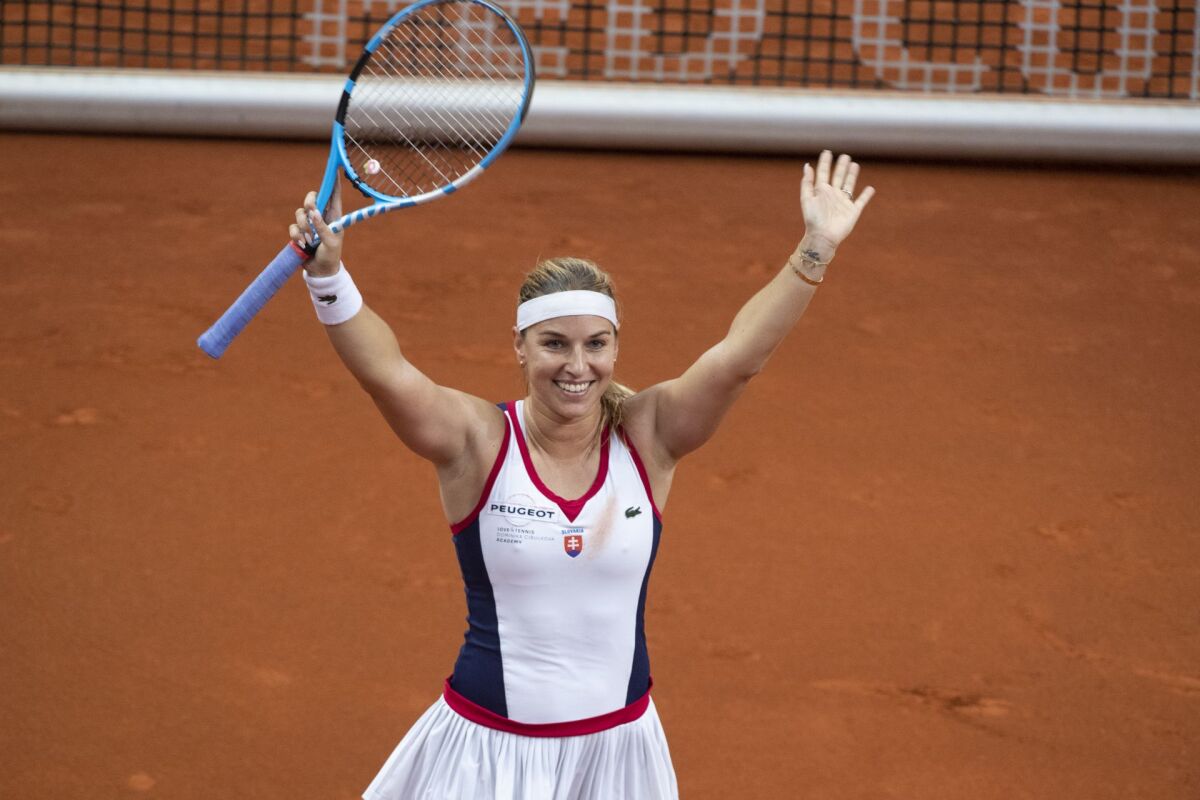 cibulková2