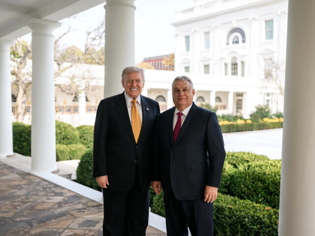Donald Trump / Viktor Orbán /