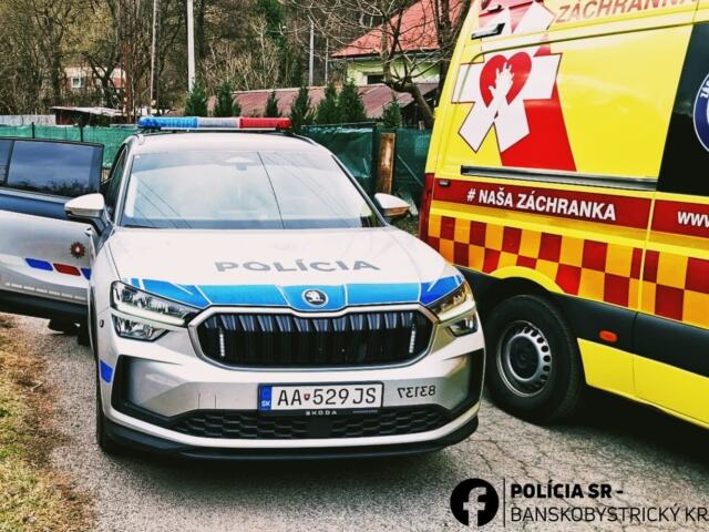 vrazda policia