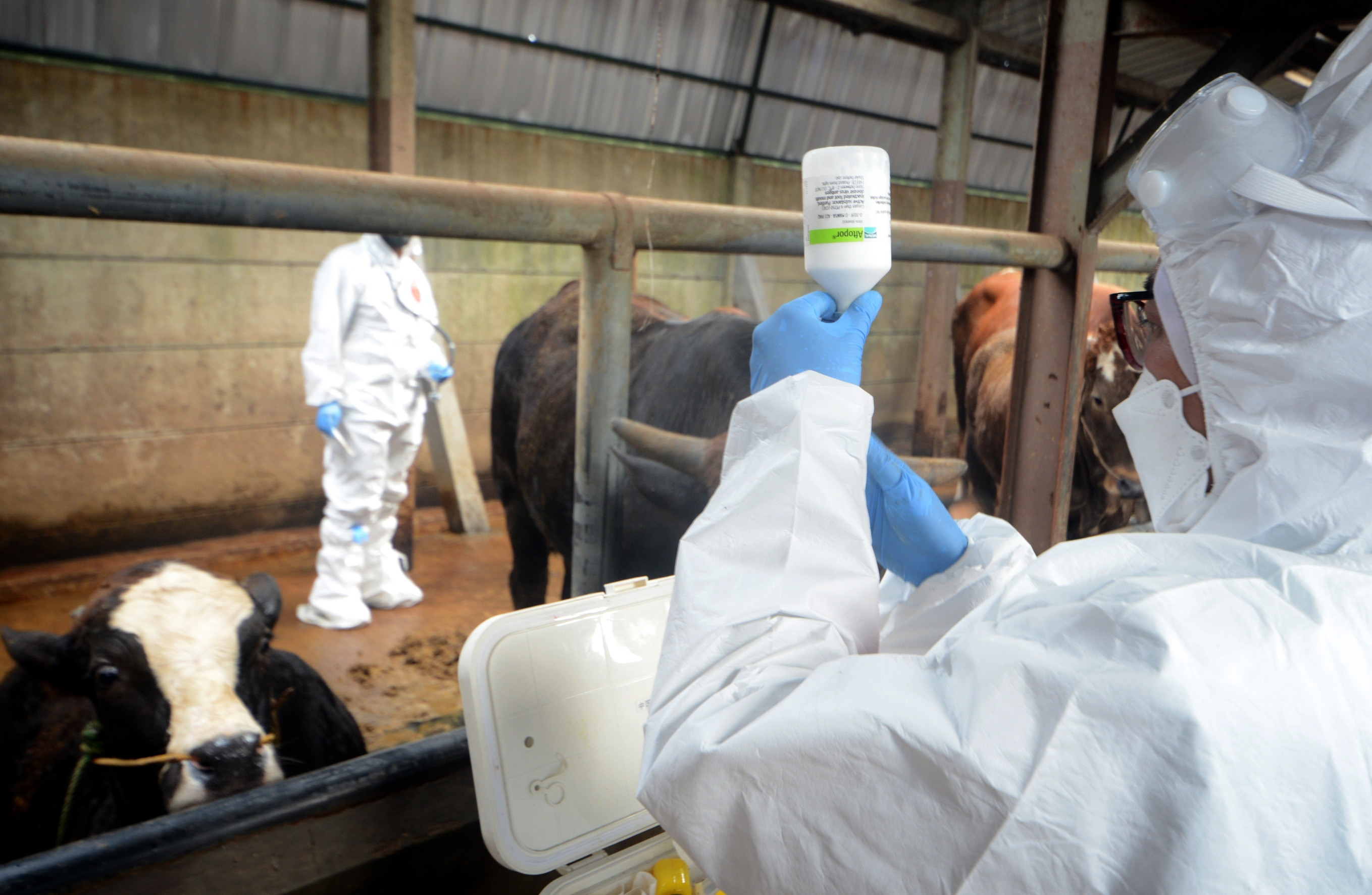 Proti slintačke a krívačke zasahovalo 150 veterinárnych lekárov z celého Slovenska.