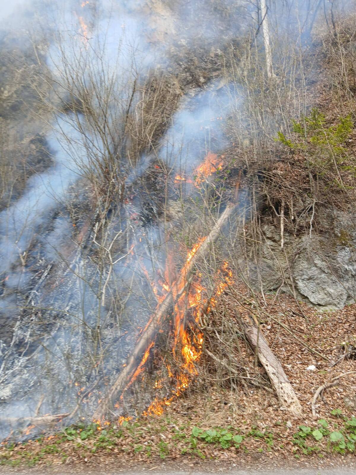 les požiar veľká fatra