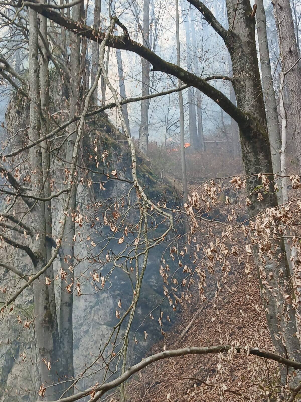 les požiar veľká fatra