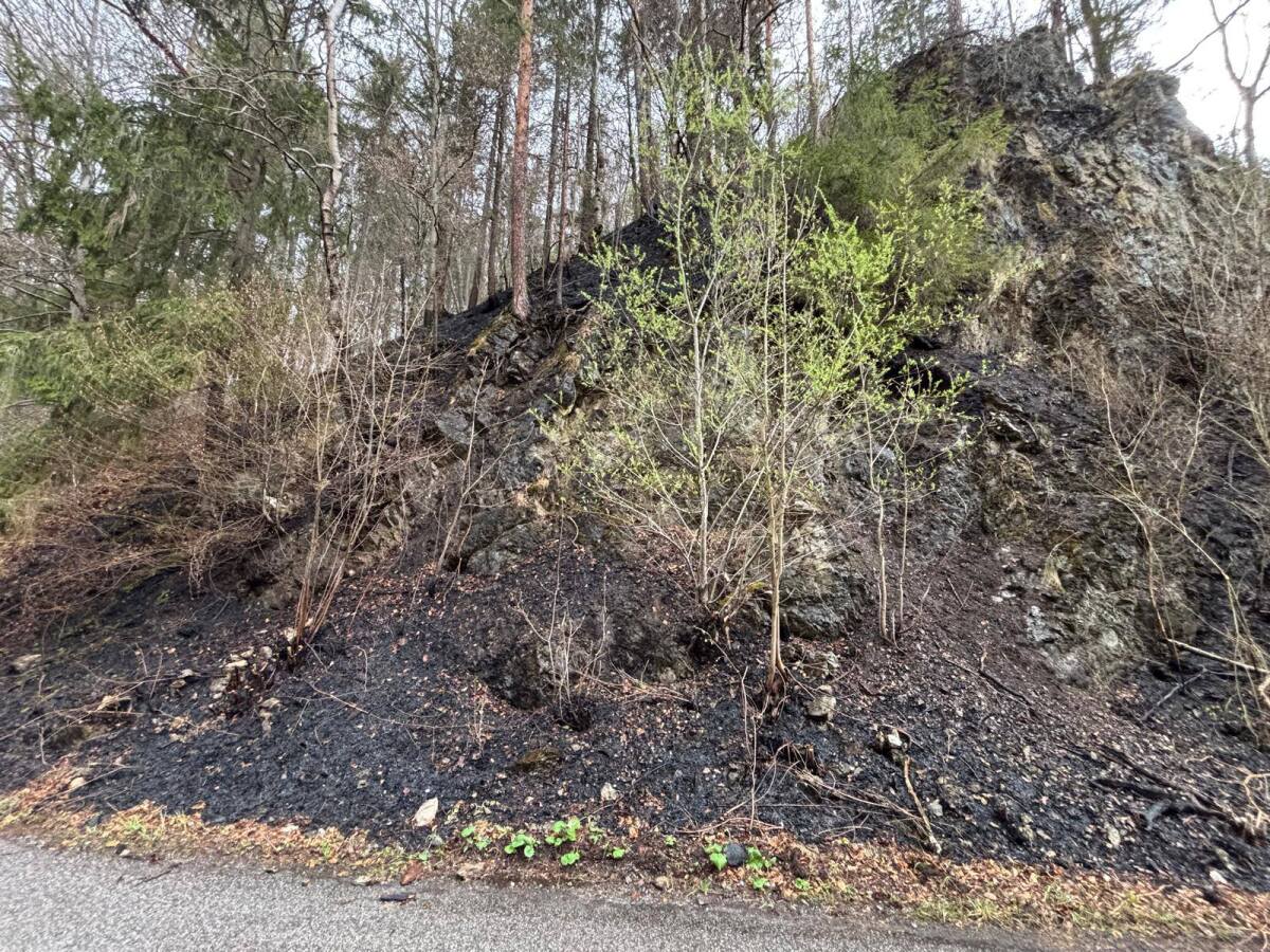 les požiar veľká fatra