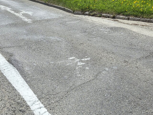 Hrbol Kosice Popradska  7 