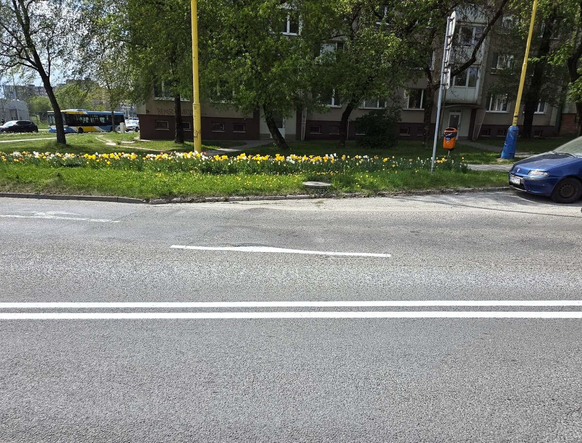 Hrbol Kosice Popradska  9 