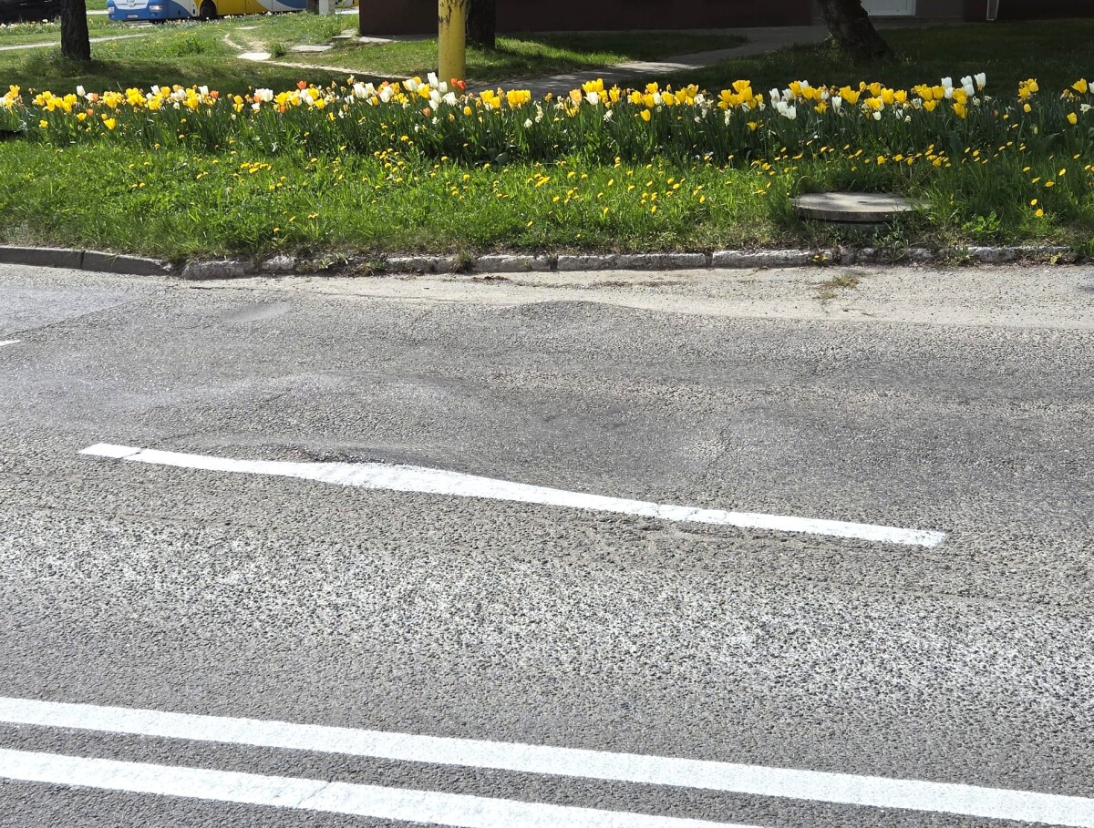 Hrbol Kosice Popradska  8 