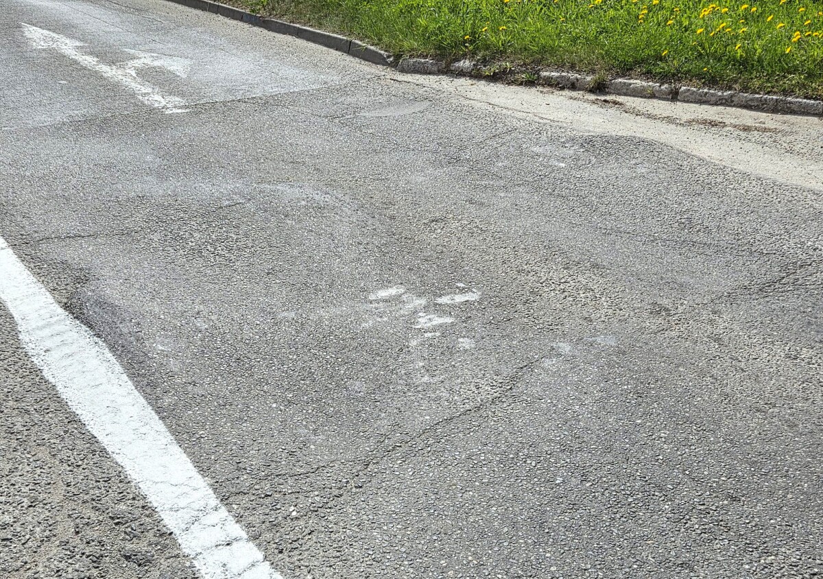 Hrbol Kosice Popradska  7 