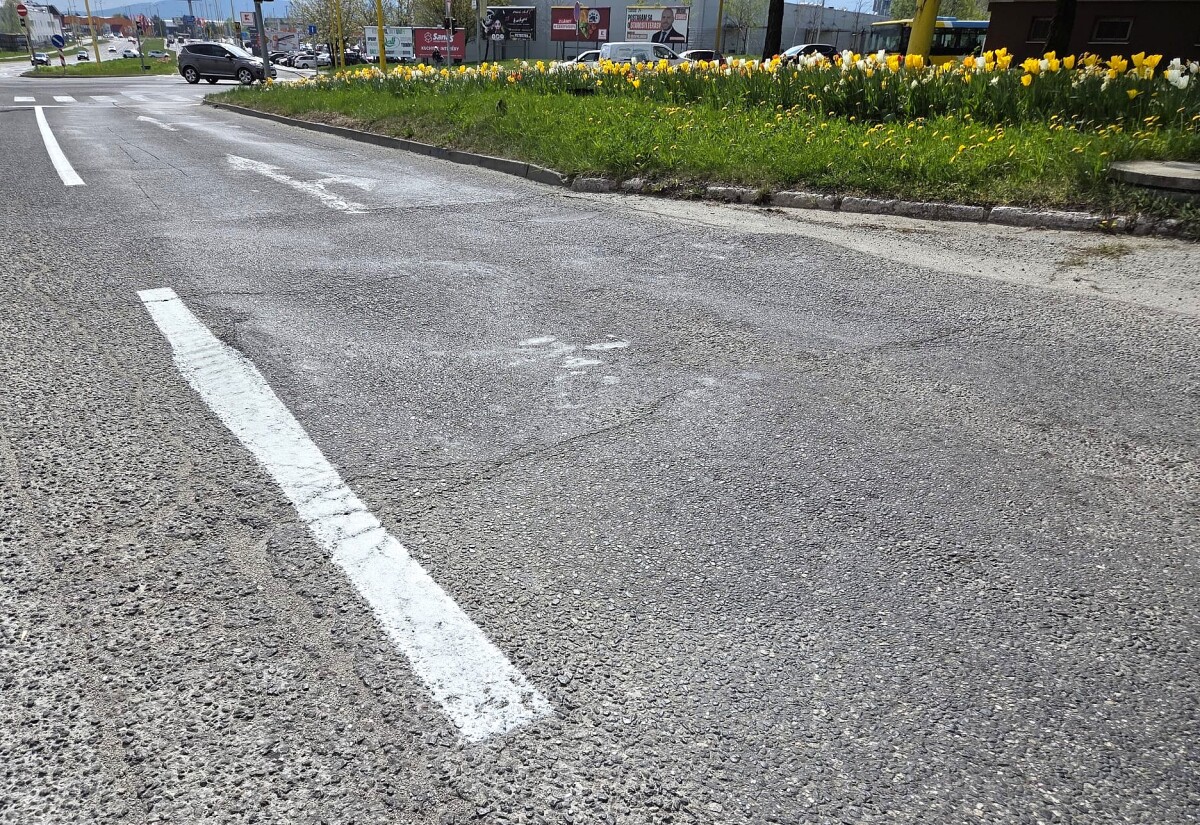 Hrbol Kosice Popradska  6 