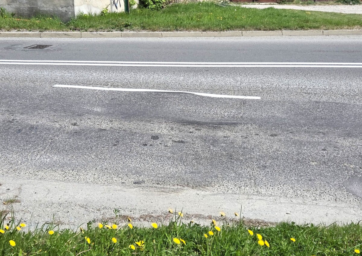 Hrbol Kosice Popradska  4 