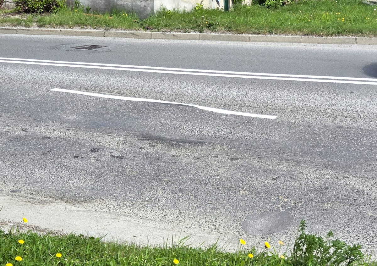 Hrbol Kosice Popradska  2 