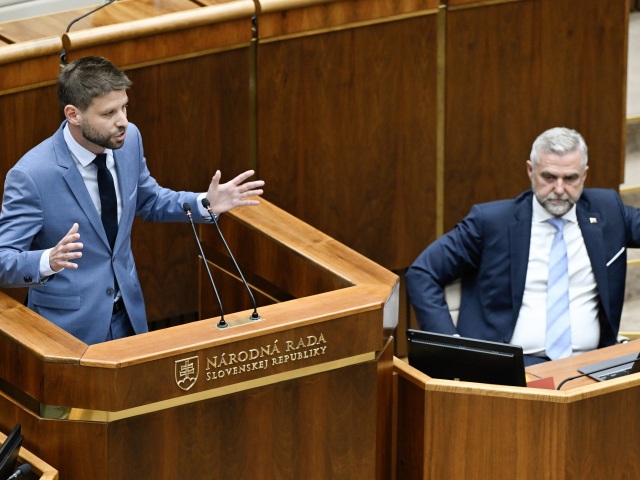 Michal Šimečka / Tibor Gašpar /