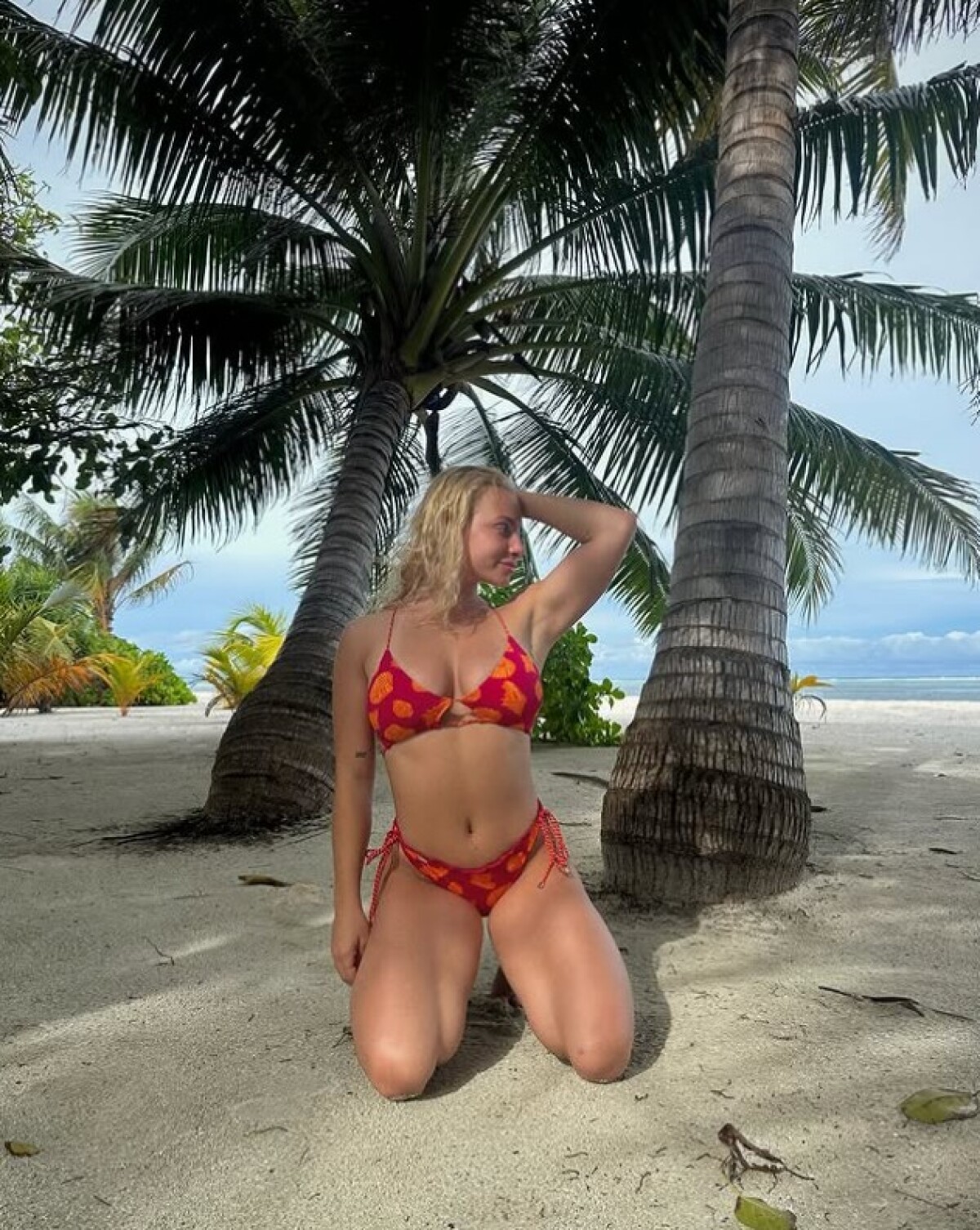23recihova