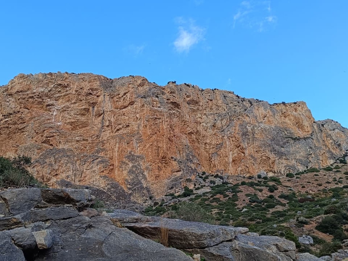 Camenito del Rey